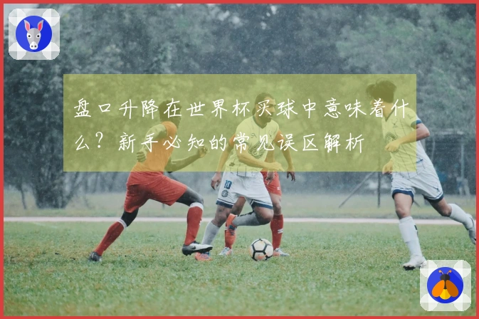 盘口升降在世界杯买球中意味着什么?新手必知的常见误区解析